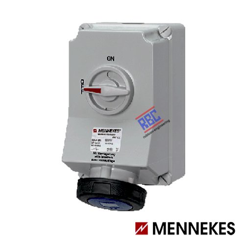 Wall Mounted Socket DUO-interlock